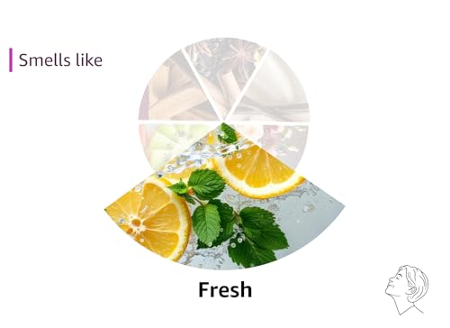 Viktor&Rolf - Spicebomb Nightvision Eau de Toilette - Warm, Spicy & Fresh - Cologne for Men - with Notes of Bergamot Citrus, Black Spices & Rosemary