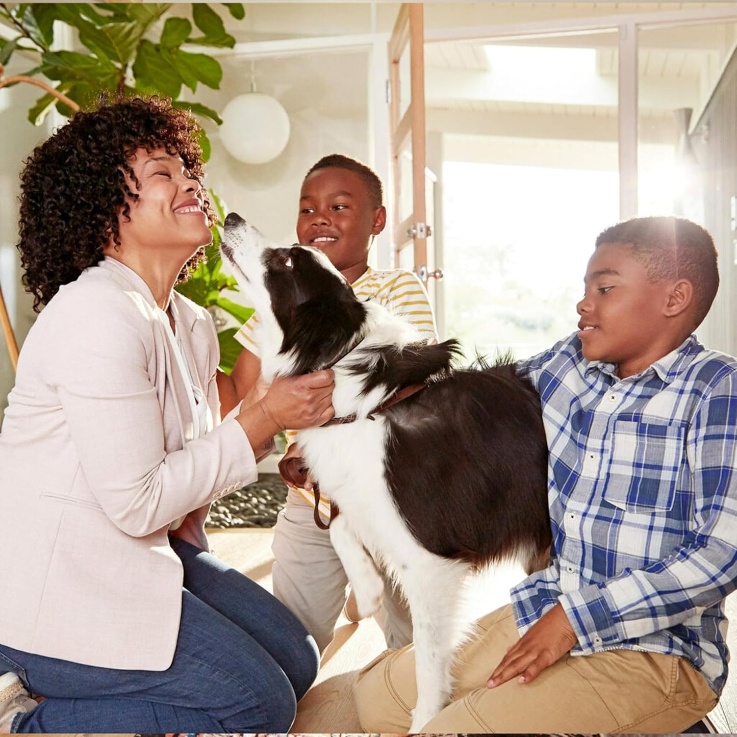 Filtrete 20x25x1 AC Furnace Air Filter, MERV 5, MPR 300