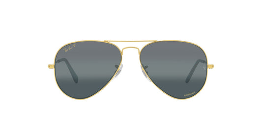 Ray-Ban Rb3025 Classic Polarized Sunglasses