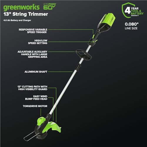 Greenworks 60V 17" Brushless Cordless Push Lawn Mower, 2-in-1 Mulching/Bagging
