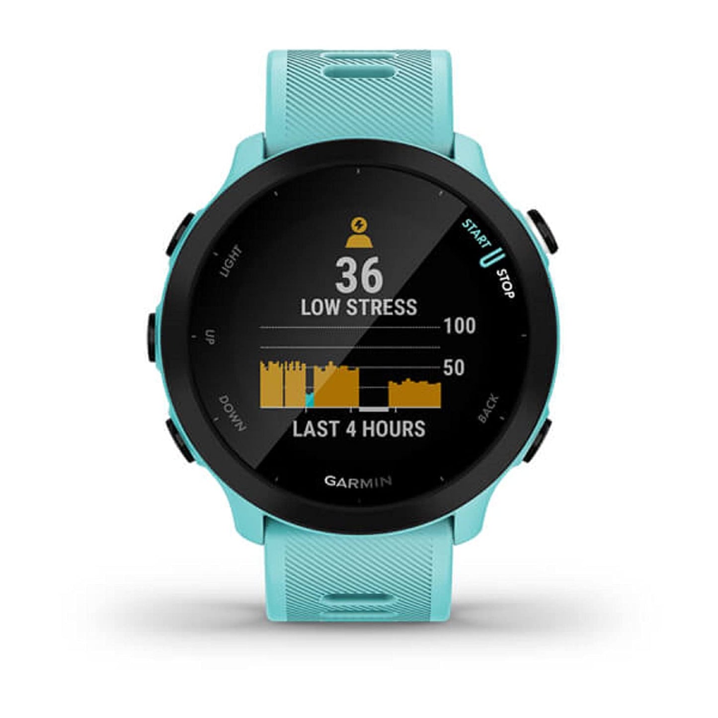 Garmin Forerunner 55, GPS Running Watch