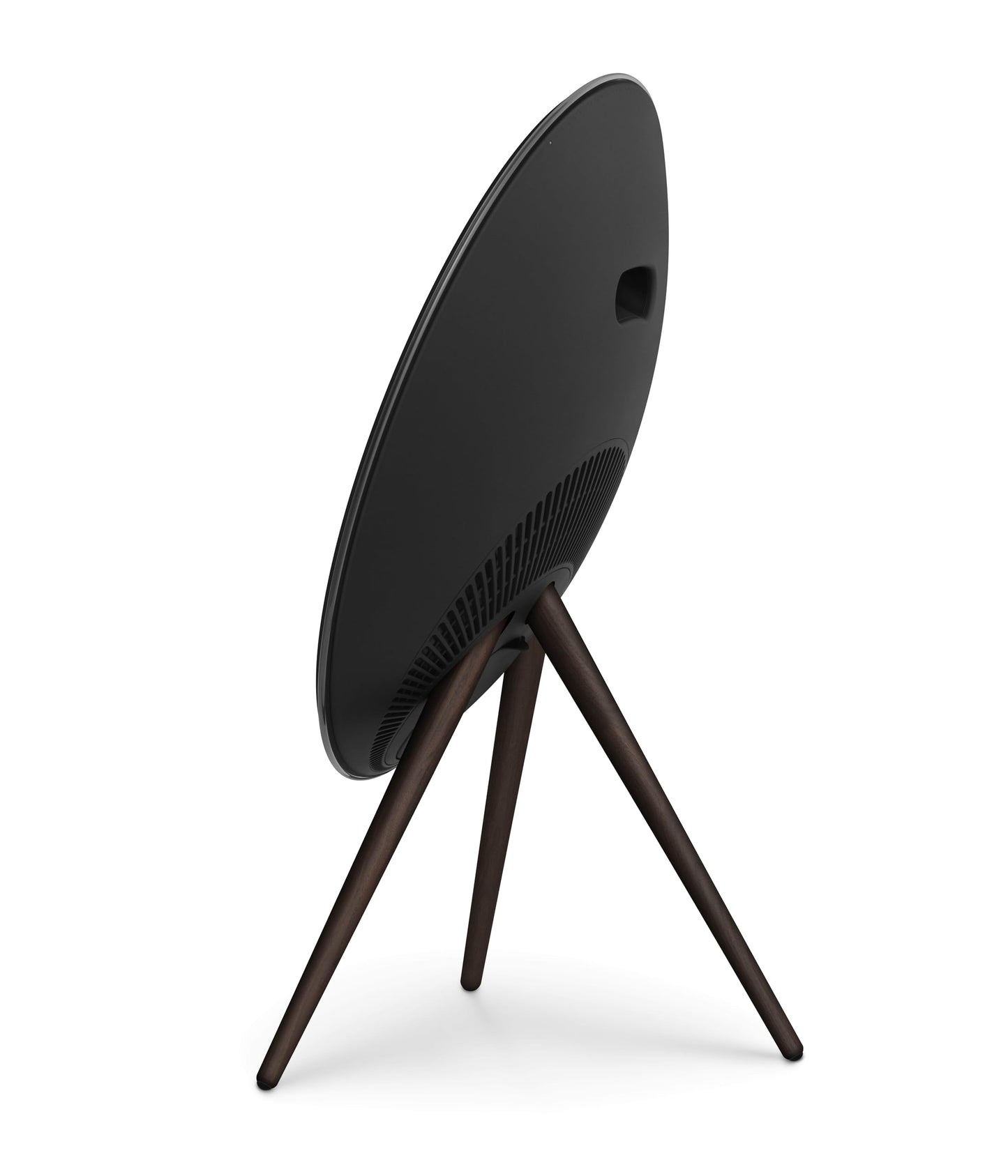 Bang & Olufsen Beosound A9 (5th Generation)