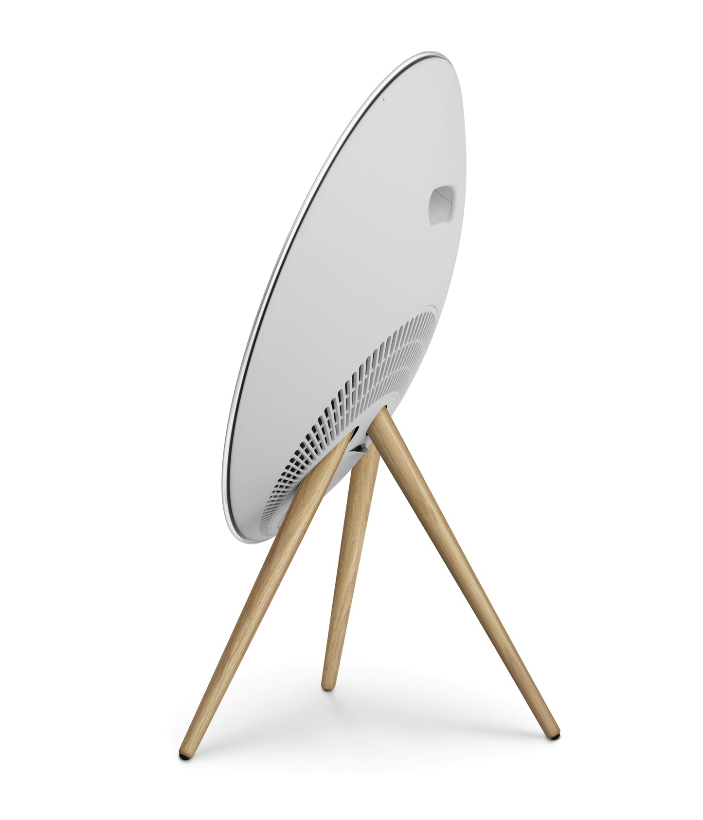 Bang & Olufsen Beosound A9 (5th Generation)