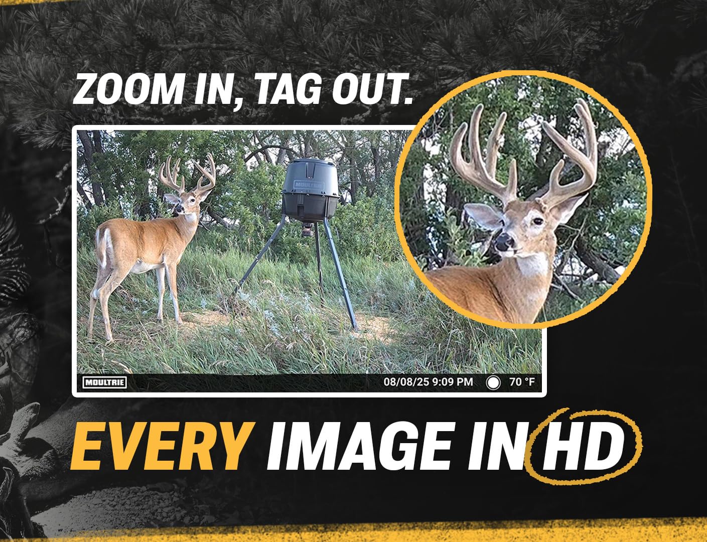 Moultrie Edge 2 Cellular Trail Camera - Auto Connect Nationwide 4G LTE - On Demand 36MP Photo - 1080P Video with HD Audio - 100 Ft Detection Range - Low Glow Flash