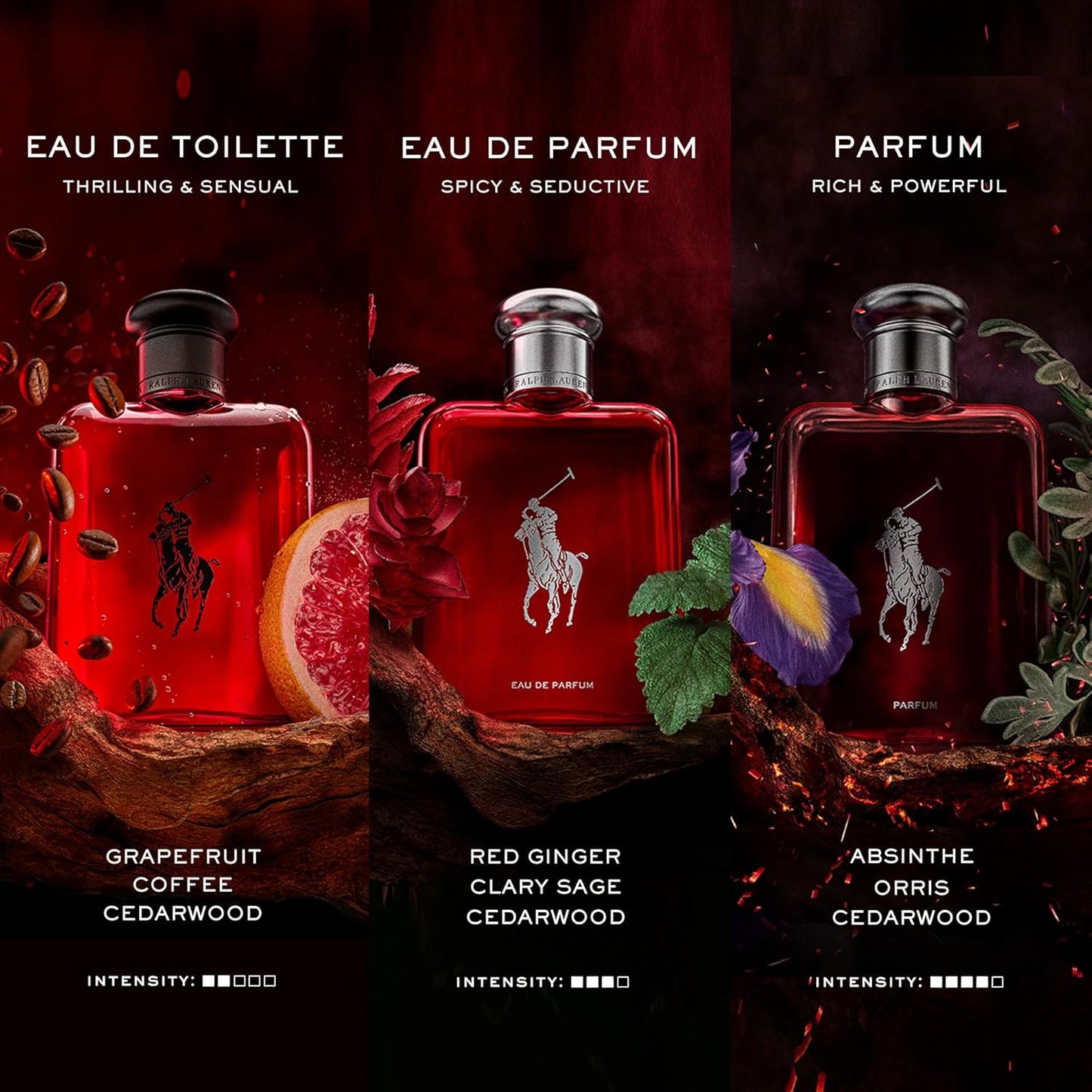 RALPH LAUREN FRAGRANCES - Polo Red - Eau de Toilette - Men's Cologne - Woody & Spicy - With Grapefruit, Saffron, and Redwood - Medium Intensity