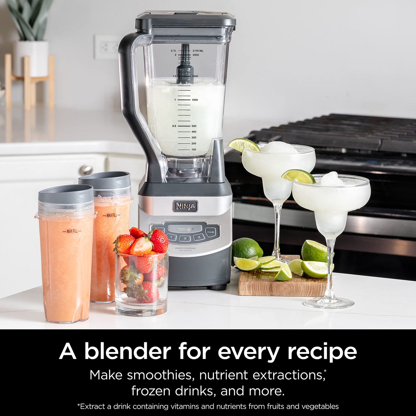 Ninja BL660 Professional Compact Smoothie & Food Processing Blender