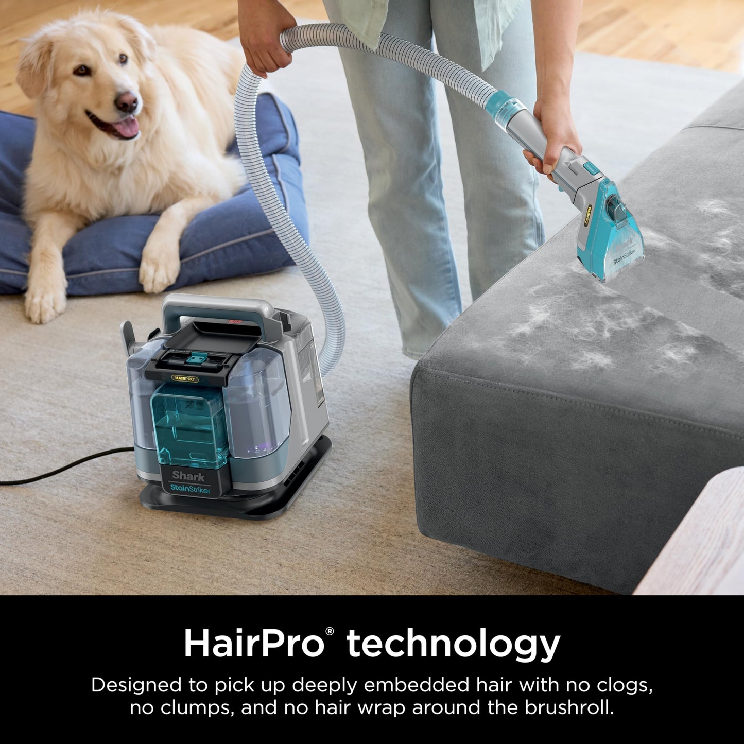 Shark StainStriker Portable Carpet, Upholstery & Area Rug Cleaner with Pet Mess Tool, Stain & Odor Remover, Perfect for Car Interiors, Includes 3 Cleaning Tools & Cleaning Solution, White, PX201