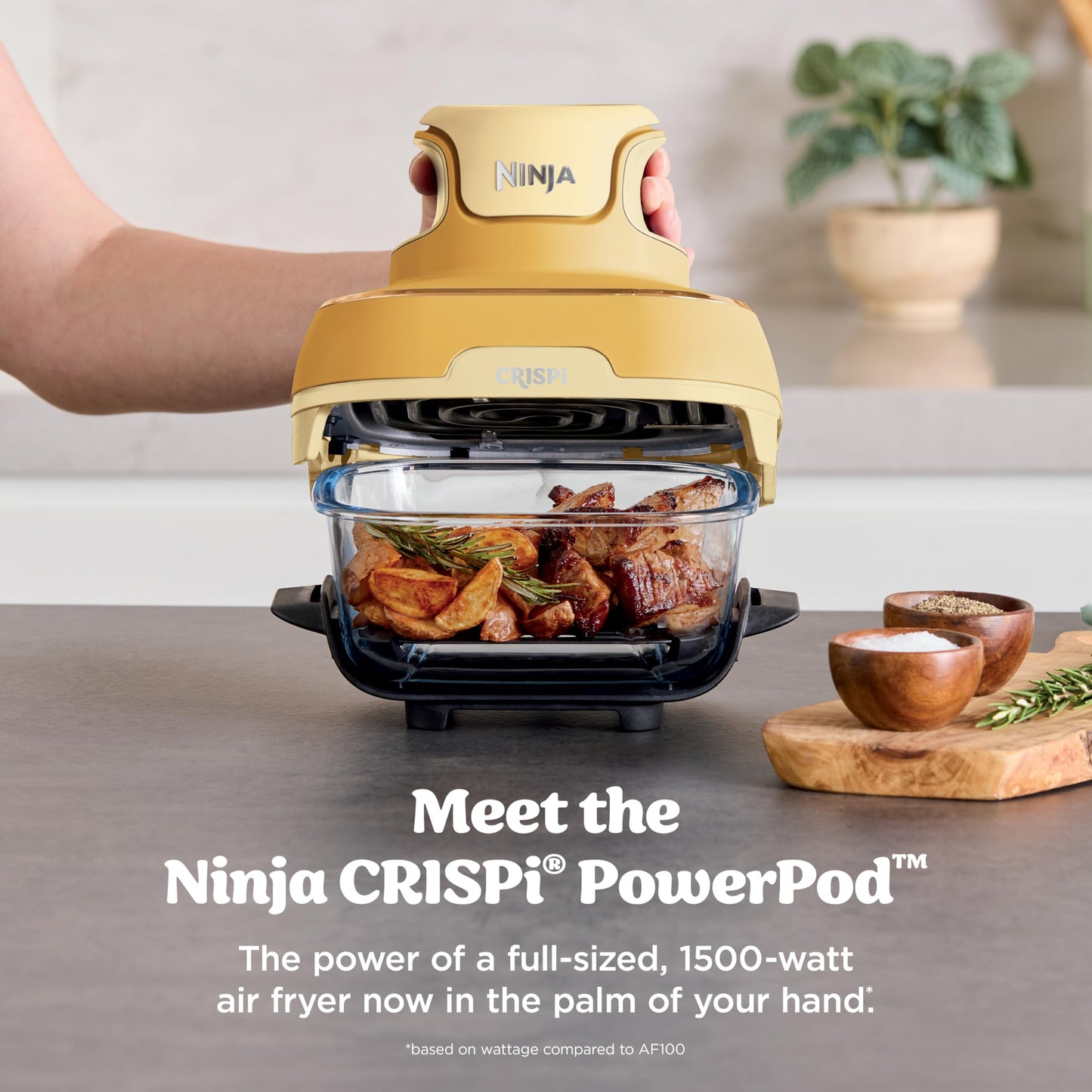 Ninja Crispi Air Fryer, Microwave, Freezer & Dishwasher Safe, Non Toxic Glass Portable Cooking System, 4 QT & 6 Cup Glass Containers with Storage Lids, Easy Meals, Air Fry, Bake, Stone, FN101ST