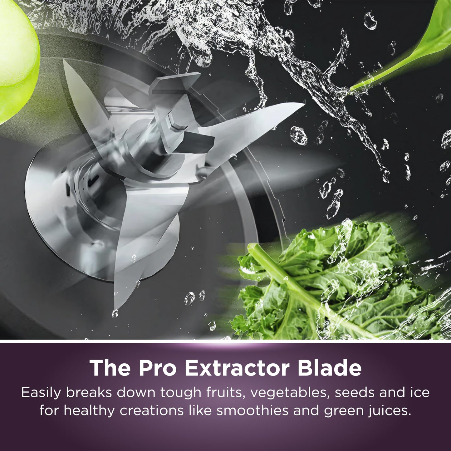 Ninja | Blender | Nutri Pro | For Smoothies, Salsa, Shakes and Frozen Drinks