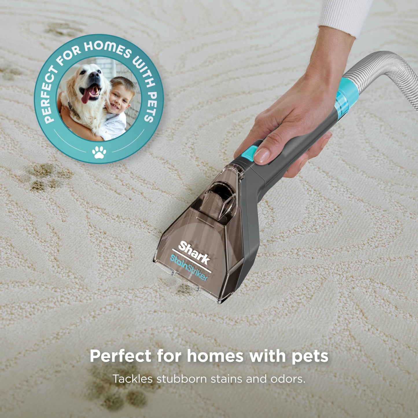 Shark StainStriker Portable Carpet, Upholstery & Area Rug Cleaner with Pet Mess Tool, Stain & Odor Remover, Perfect for Car Interiors, Includes 3 Cleaning Tools & Cleaning Solution, White, PX201