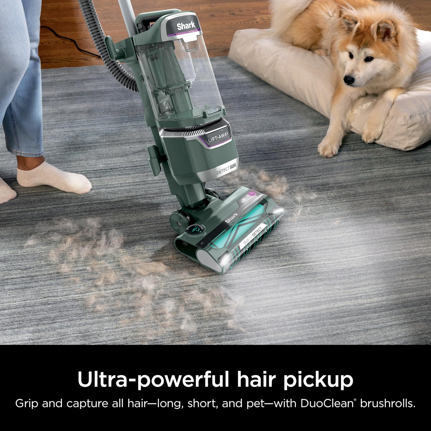 Shark Upright Vacuum, Navigator Lift-Away Deluxe with Large Dust Cup Capacity