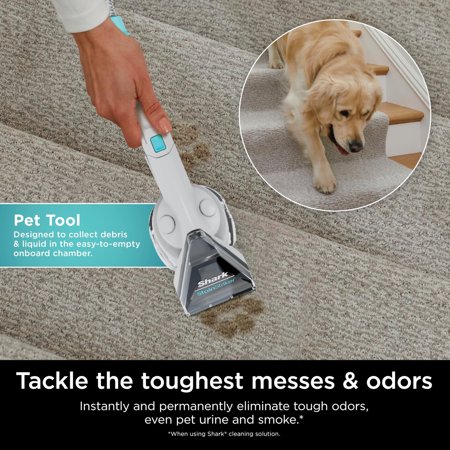 Shark StainStriker Portable Carpet, Upholstery & Area Rug Cleaner with Pet Mess Tool, Stain & Odor Remover, Perfect for Car Interiors, Includes 3 Cleaning Tools & Cleaning Solution, White, PX201