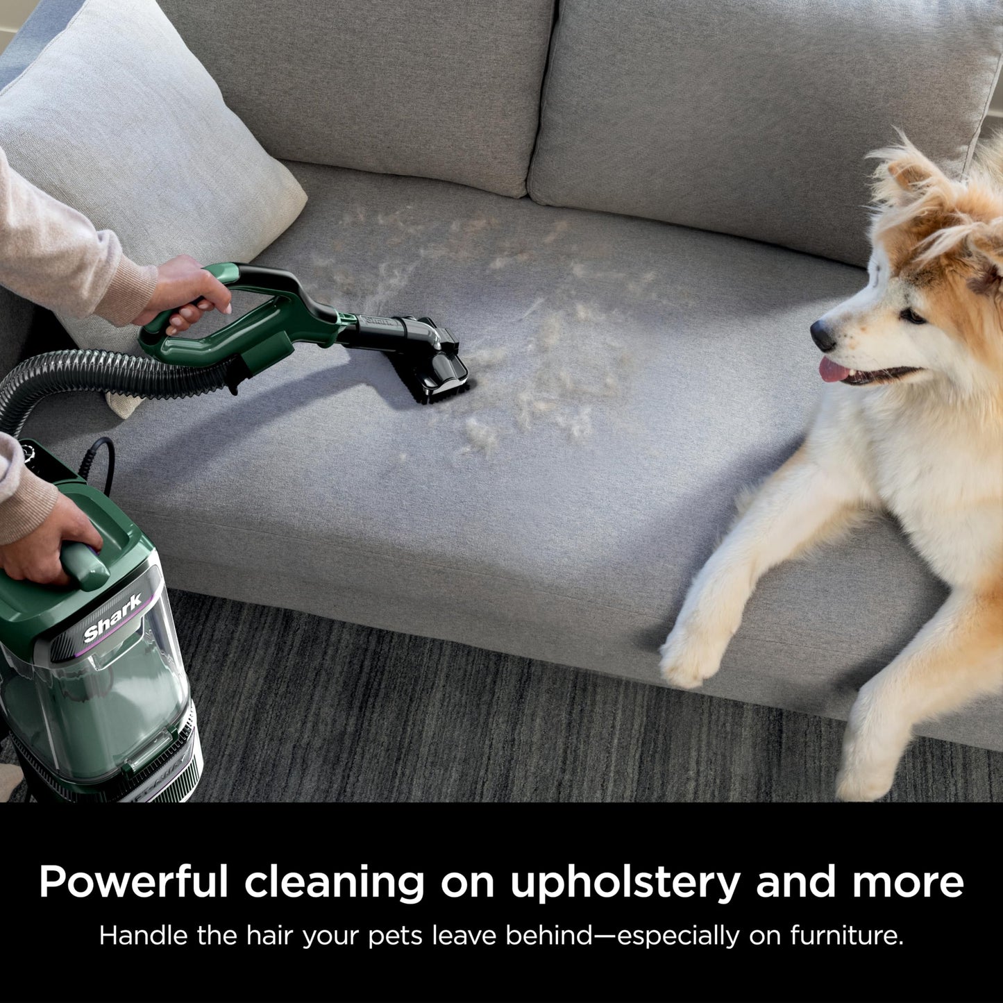 Shark Upright Vacuum, Navigator Lift-Away Deluxe with Large Dust Cup Capacity