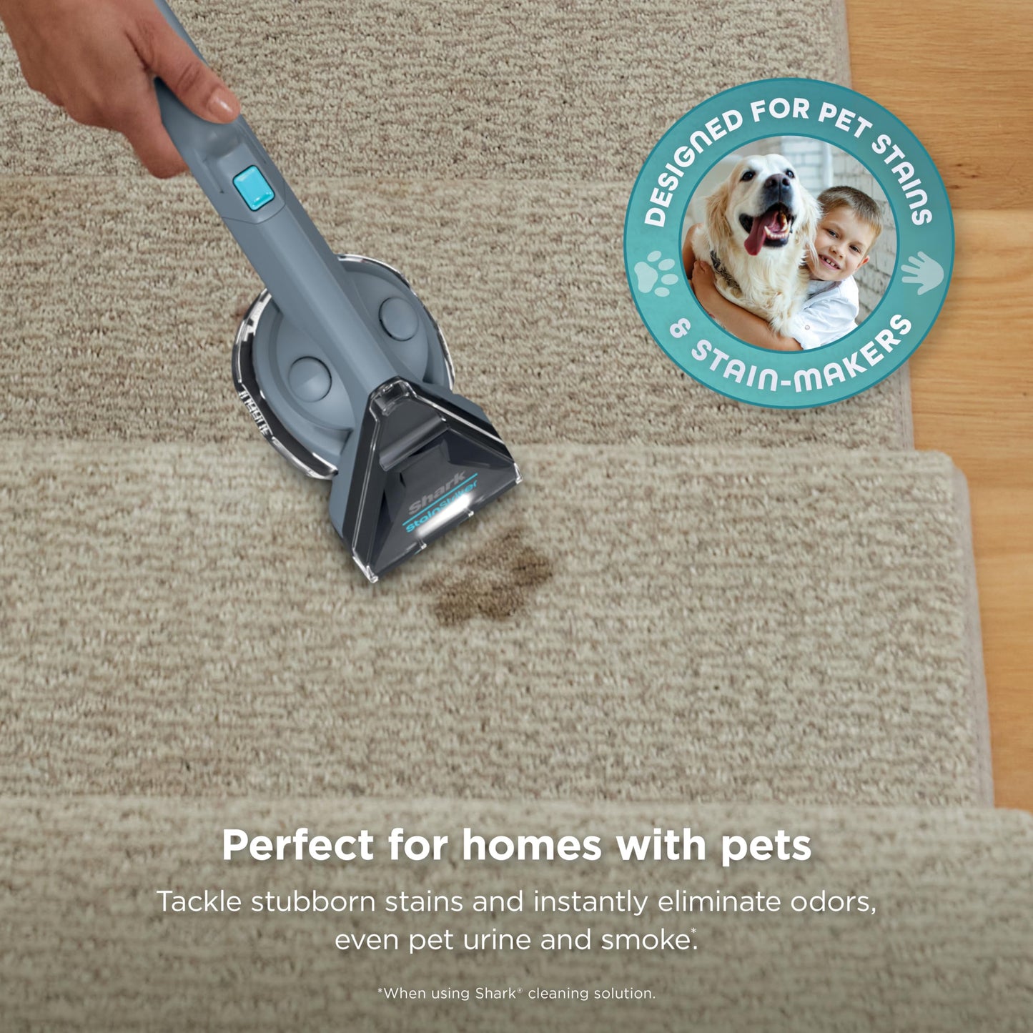 Shark StainStriker Portable Carpet, Upholstery & Area Rug Cleaner with Pet Mess Tool, Stain & Odor Remover, Perfect for Car Interiors, Includes 3 Cleaning Tools & Cleaning Solution, White, PX201